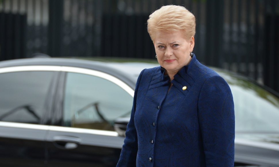 Dalia Grybauskaitė NATO vadovų susitikime