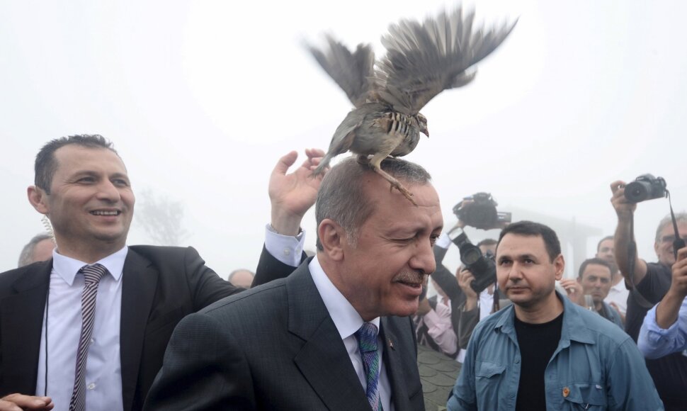 Tayyipas Erdoganas