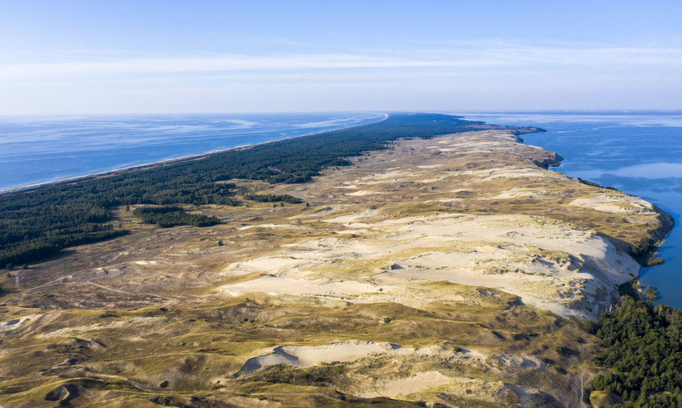 Pilkosios kopos Naglių rezervatas