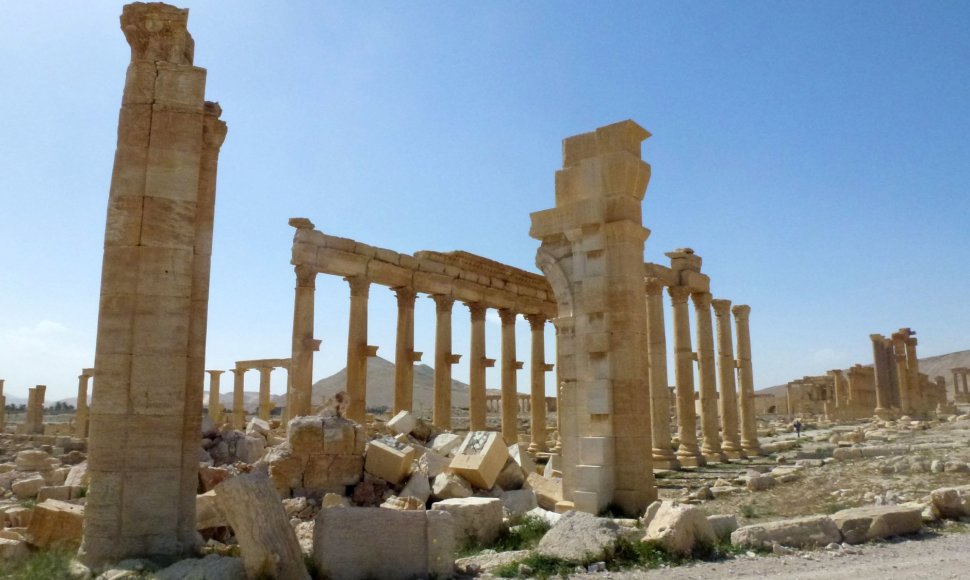 Palmyra