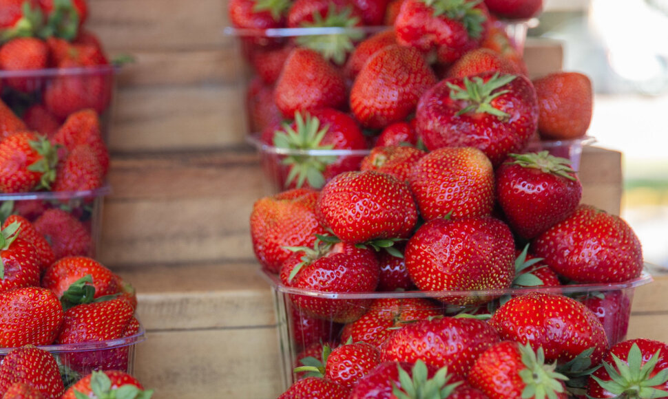 Bra&scaron;kių kainos Palangoje