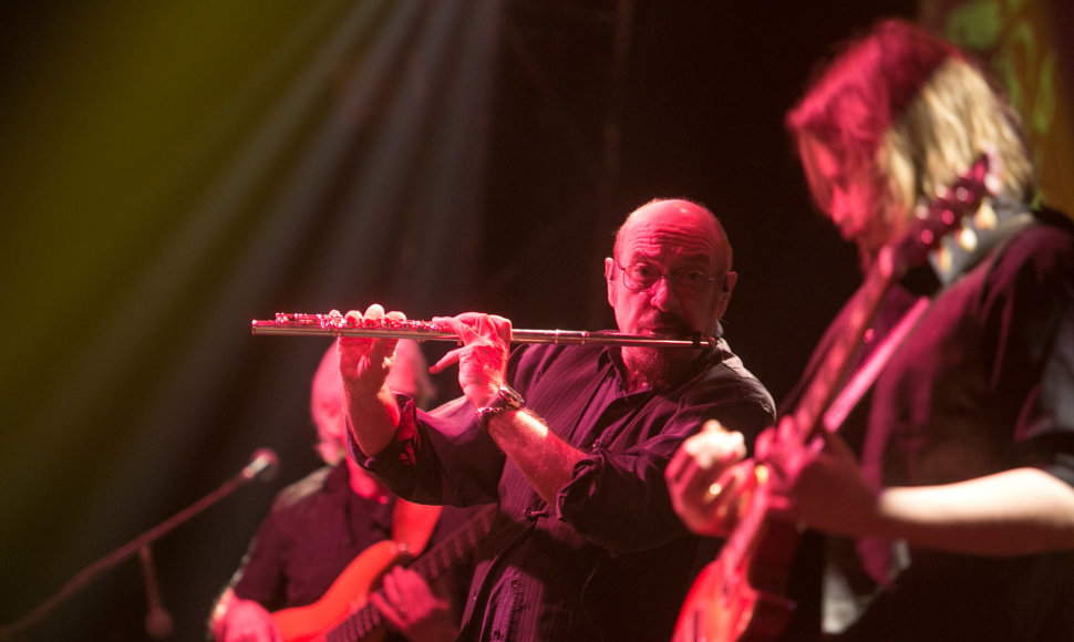 „Jethro Tull“ koncerto akimirka  