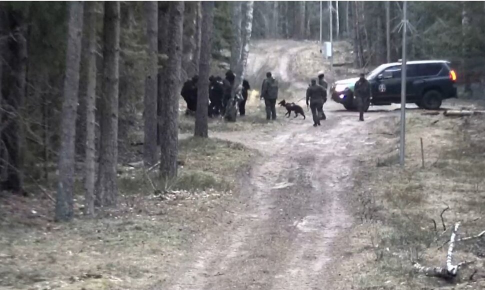 Pasieniečiai sulaikė migrantų grupę, kuri neteisėtai kirto Lietuvos sieną