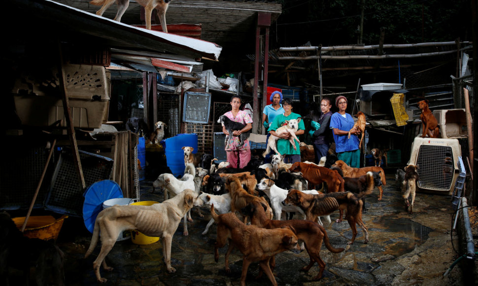 Los Tekeso šunų prieglauda Venesueloje ir jos darbuotojai