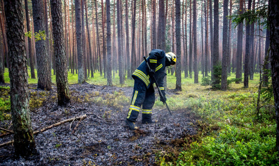 Ugniagesiai gesina miško gaisrą