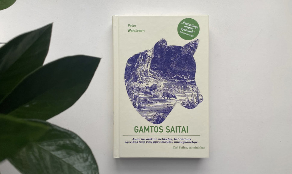 Peteris Wohllebenas „Gamtos saitai“