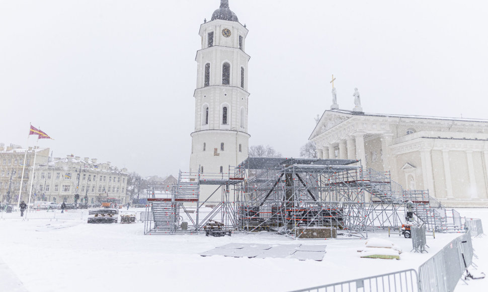 Katedros aikštėje – pradėta statyti Kalėdinė eglė
