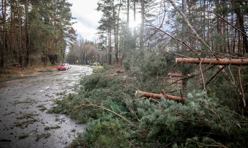 Stipraus vėjo padariniai Vilniaus mieste ir apylinkėse