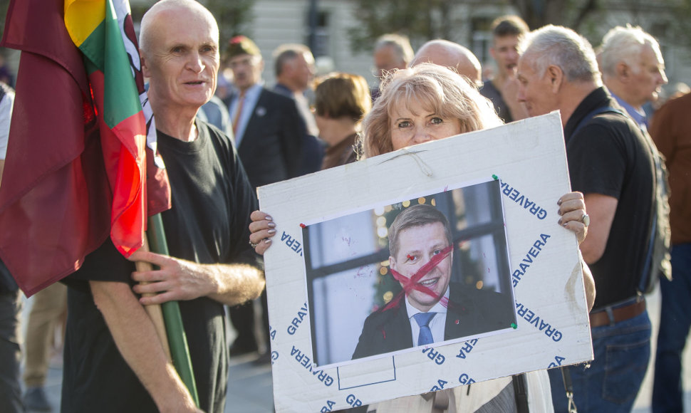 Astra Genovaitė Astrauskaitė mitinge „Dėl Vyčio ir Lietuvos Laisvės kovų atminties įamžinimo Vilniuje!“