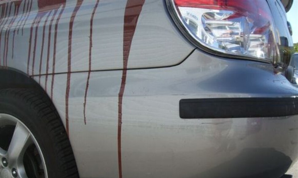 Vienas i&scaron; sostinėje dažais apipiltų &bdquo;Subaru" automobilių. 