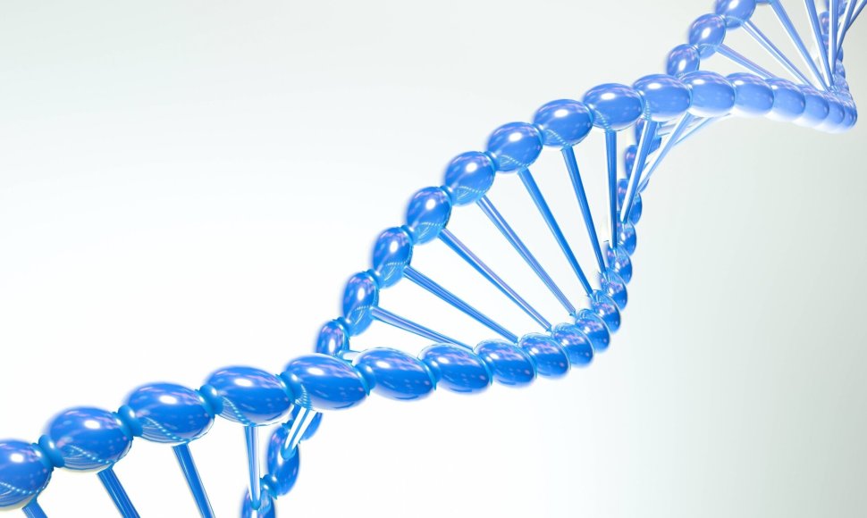 DNA mutacijos ir genetinės ligos susijusios.