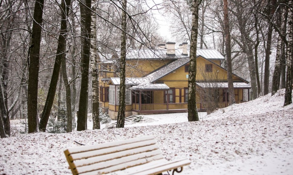 A.Puškino parkas žiemą