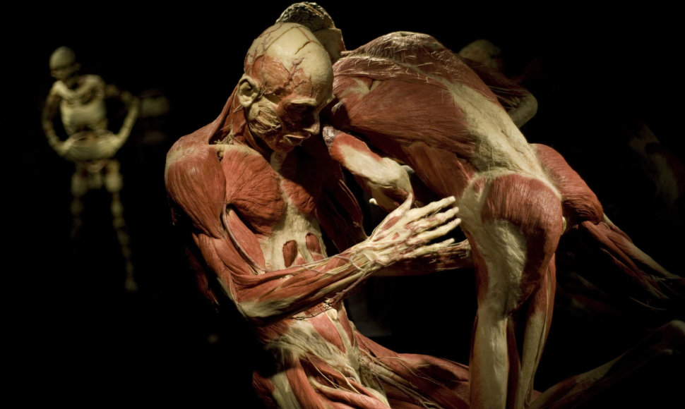 Plastifikuoti žmonių kūnai parodoje „Body Worlds“