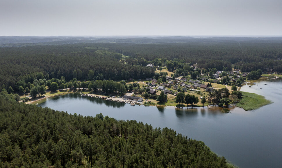 Palū&scaron;ė