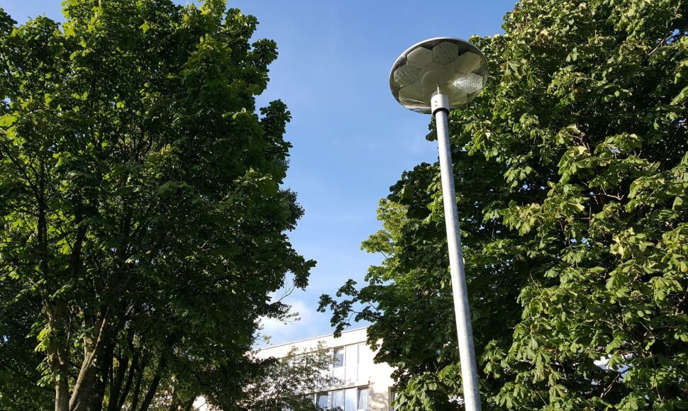 Klaipėdos daugiabučių kiemuose taps šviesiau