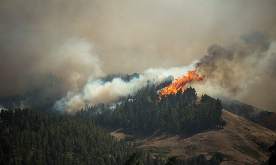 Miškų gaisrai Gran Kanarijoje