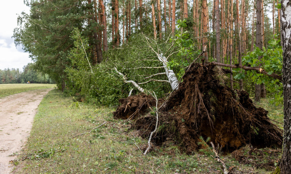 Išskirtiniame Grabijolų kaime ledai kaip kumštis daužė langus ir stogus