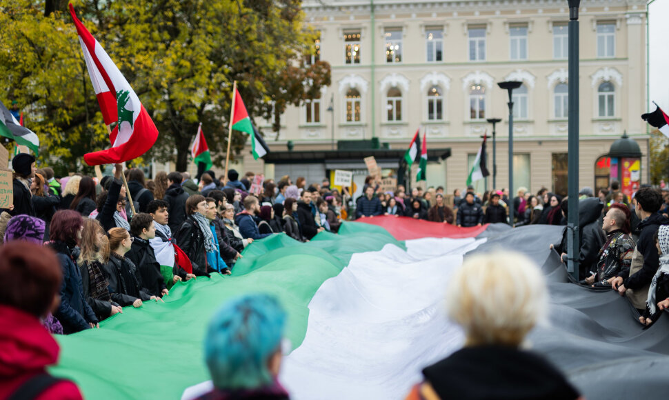 Vilniuje vyko protestas „2 metai genocido: užtenka tylėti!“