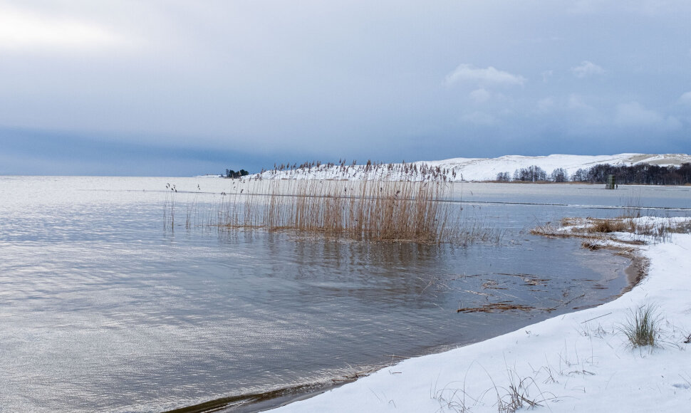 Sniegas užklojo Nidą