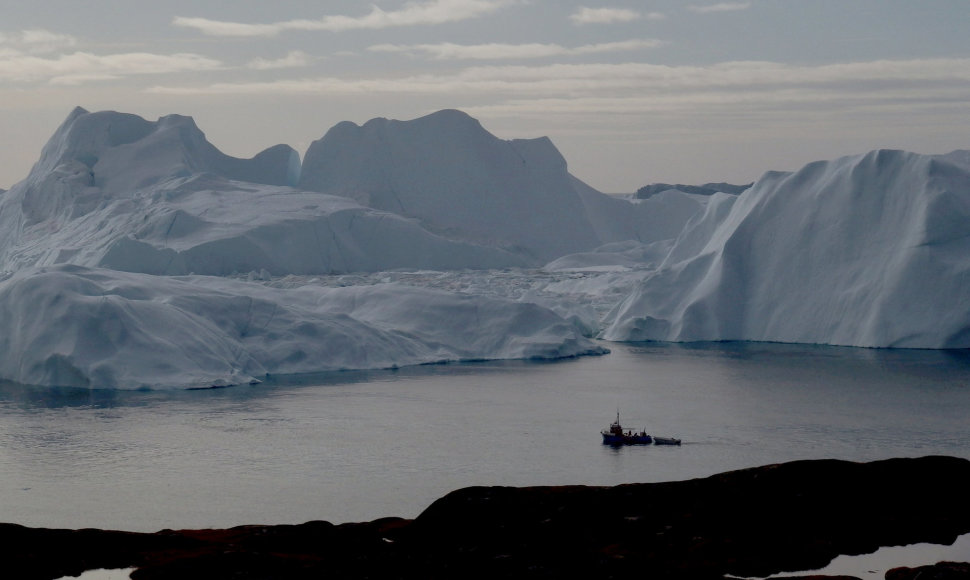 Grenlandijos ledynai