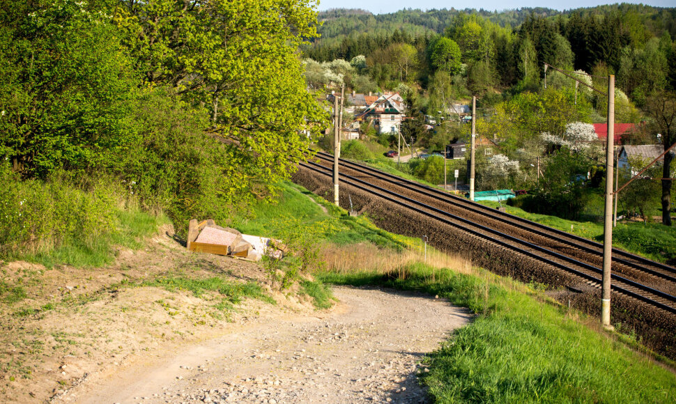 Markučiai