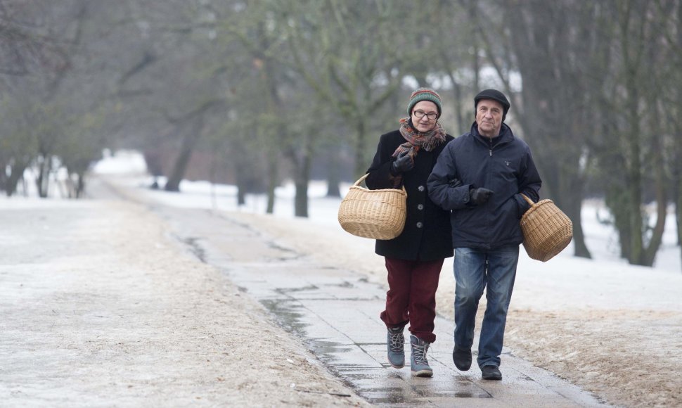 Sniegą Vilniuje keičia balos