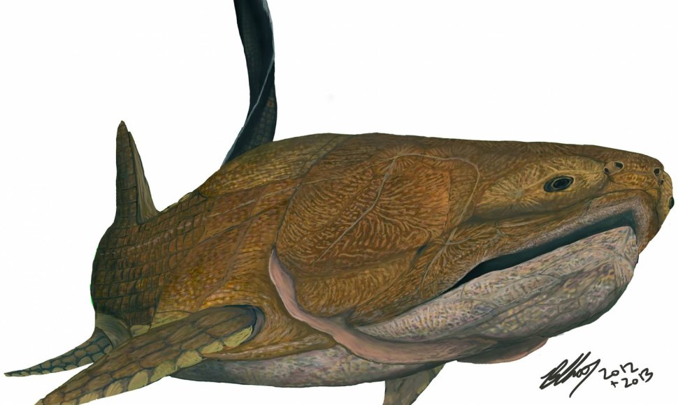 Žuvis Entelognathus primordialis
