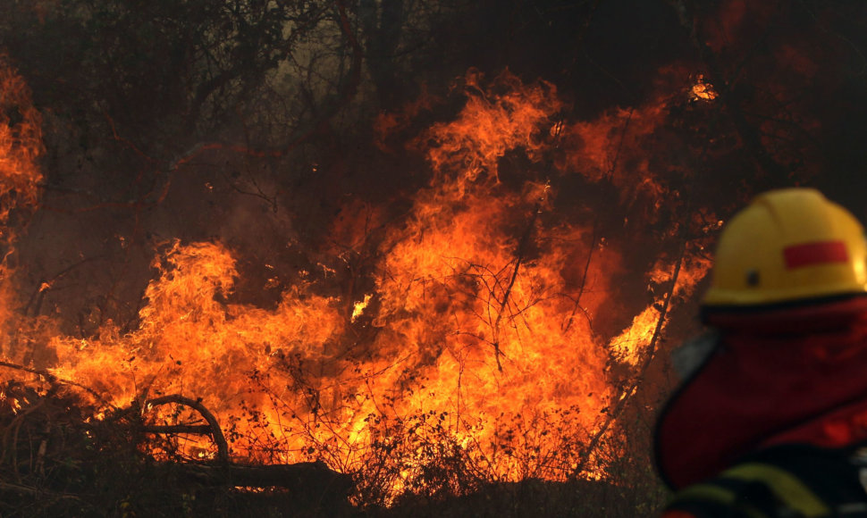 Miško gaisras Bolivijoje