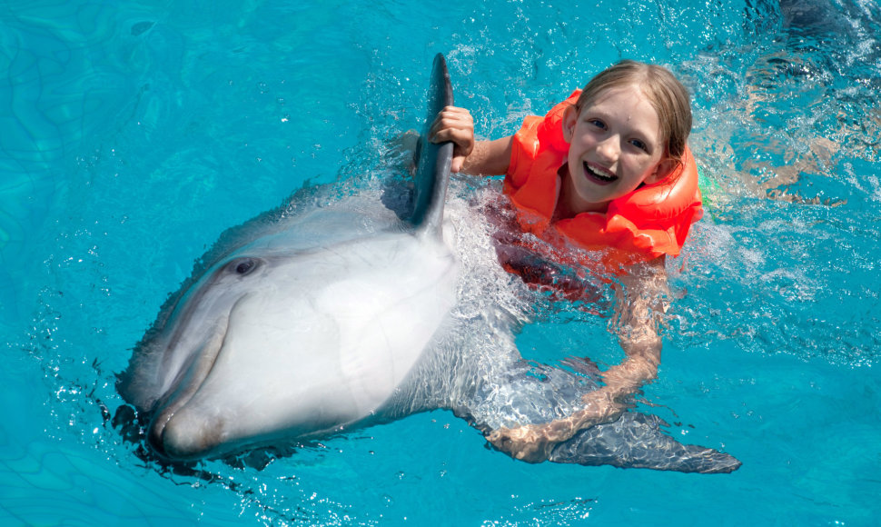Mergaitė žaidžia su delfinu