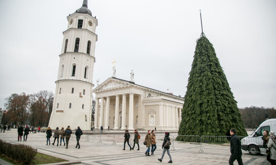 Rengiama Kalėdų eglė Vilniuje.