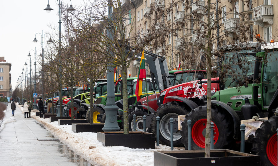 Vilniuje prasidėjo žemdirbių mitingas