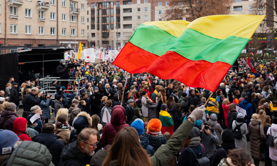 Kultūros bendruomenės finalinis mitingas