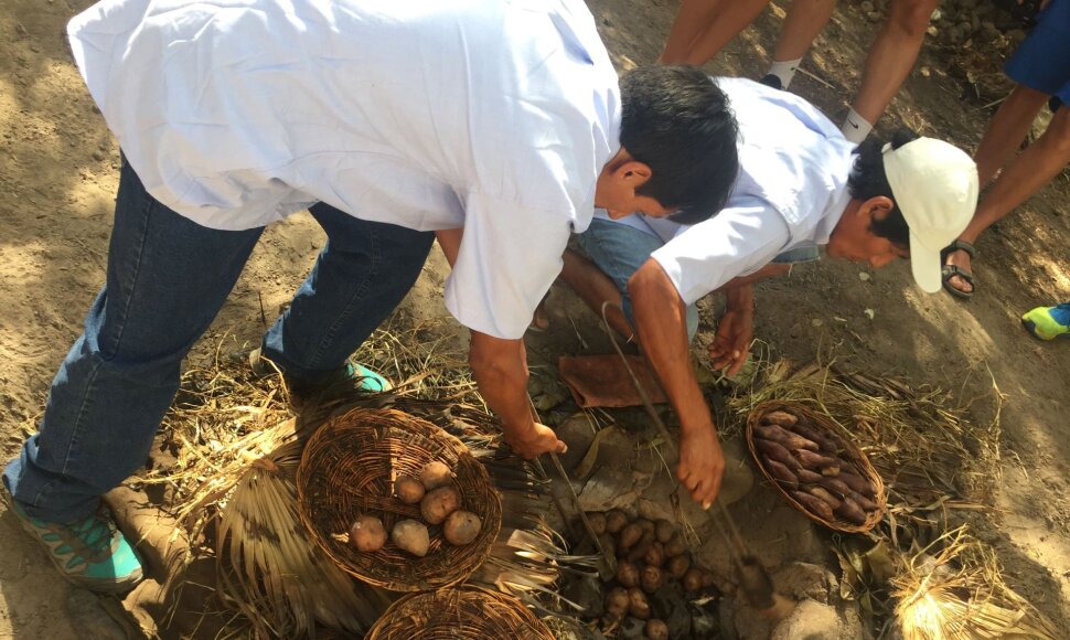 Peru gyventojai kepa bulves ir mėsą