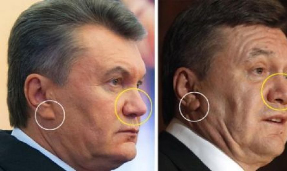 V.Janukovyčius ar jo antrininkas?