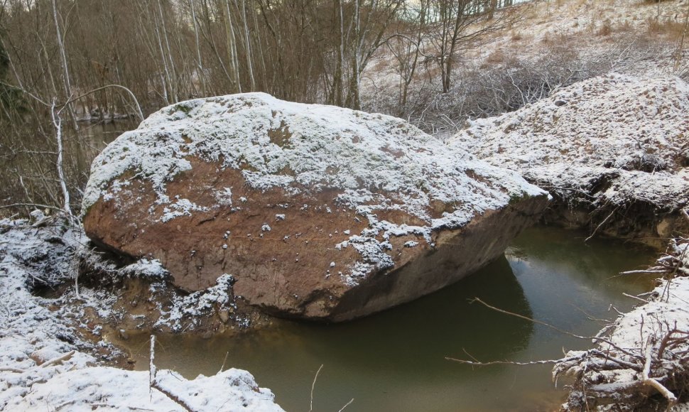 Skuodo rajone, Juknaičių kaime, visai šalia legendinės Apuolės, iš žemių iškastas gigantiškas akmuo. Ilgus metus vietos gyventojai apie tūnantį milžiną galėjo spėti tik matydami dalį jo silueto krūmynuose.