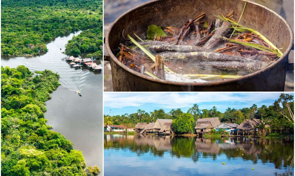 Peru nuo psichodelinės arbatos mirė 41 metų turistas