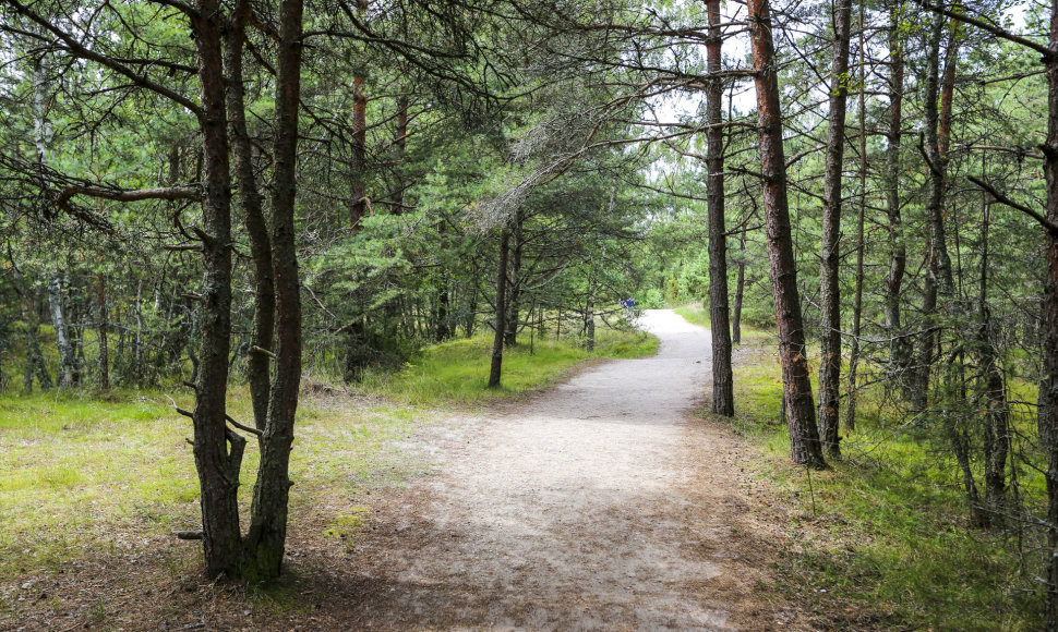 Naglių rezervatas smalsuoliams kainuoja 2 eurus.