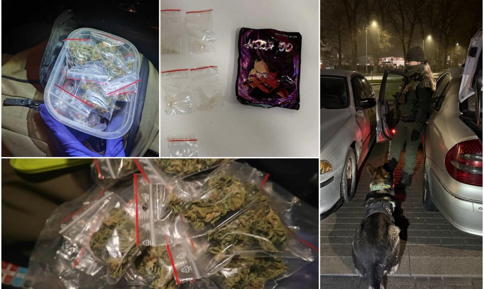 Temos iliustracija: narkotinės medžiagos, transporto patikra