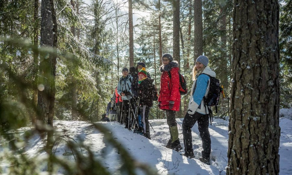 Kelionė į Suomijos Repovesi nacionalinį parką ir trijų dienų pėsčiųjų žygis