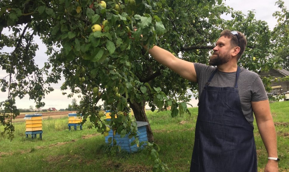 Marijos trobelės įkūrėjas Mindaugas Balčiūnas skina obuolius