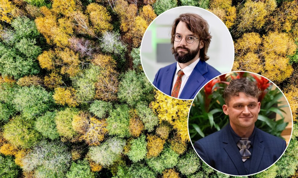 Seime – iniciatyva leisti statyti vasarnamius privačiuose ūkiniuose miškuose