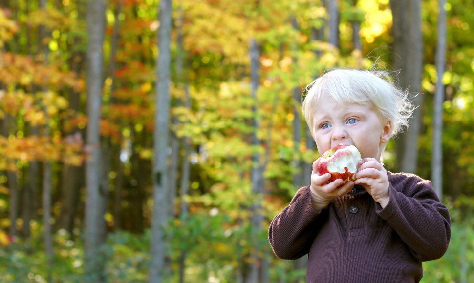 Obuolį valgantis vaikas