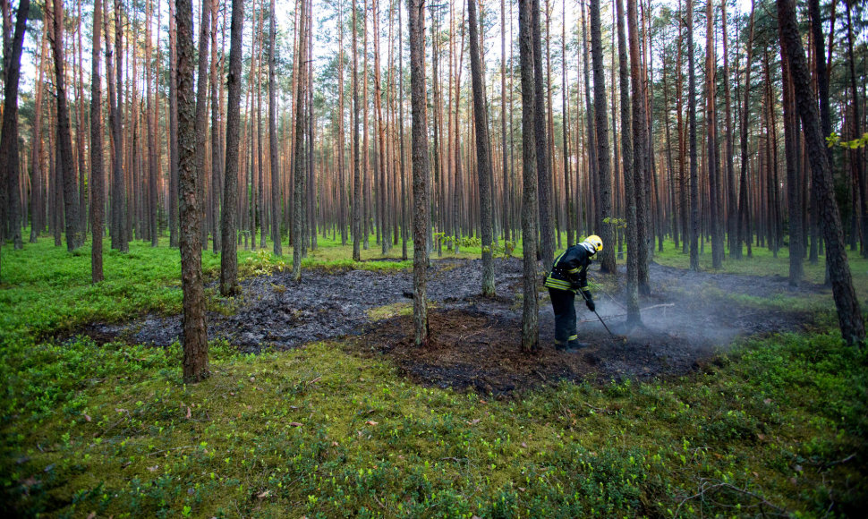 Ugniagesiai gesina miško gaisrą