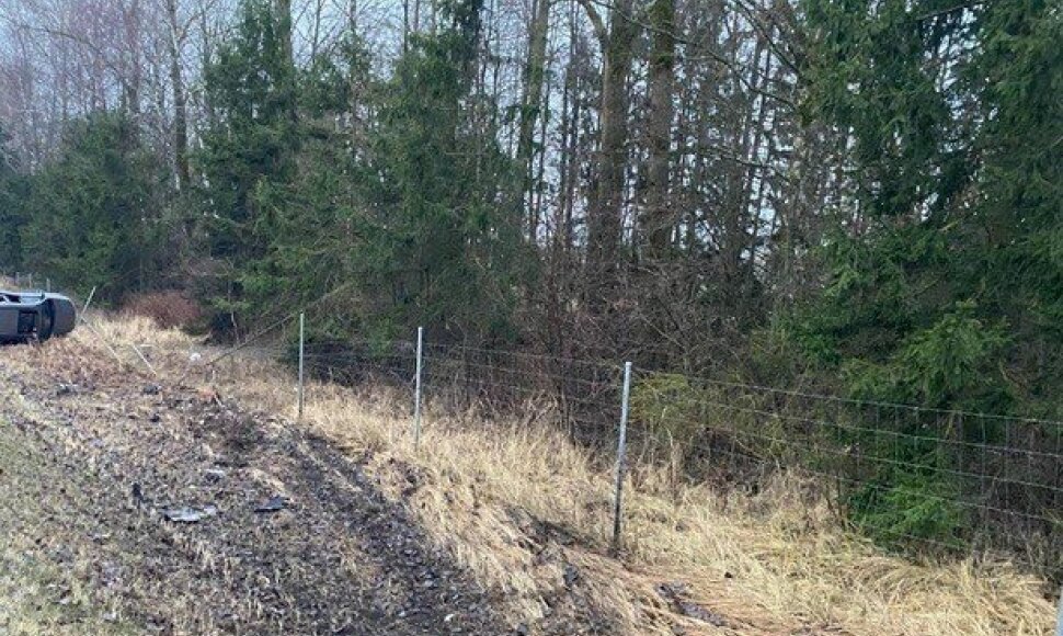 Avarijos autostradoje metu viena ma&scaron;ina vertėsi, kita užstrigo tarp medžių