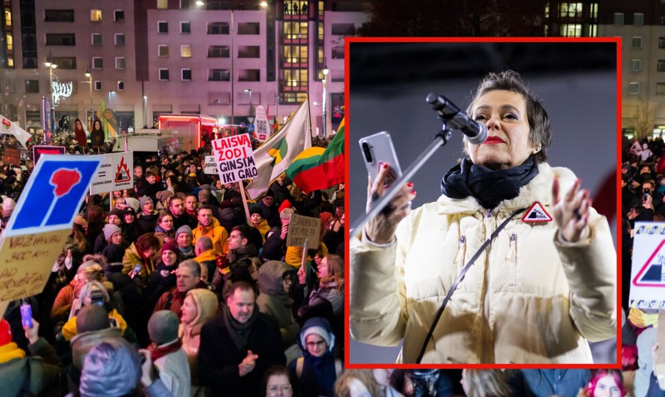 Nomeda Marčėnaitė trečiadienio proteste &bdquo;&Scaron;alin rankas nuo laisvo žodžio!&ldquo;