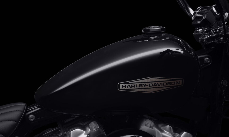 „Harley-Davidson Softail Standard“