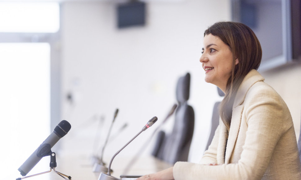 Monikos Navickienės spaudos konferencija