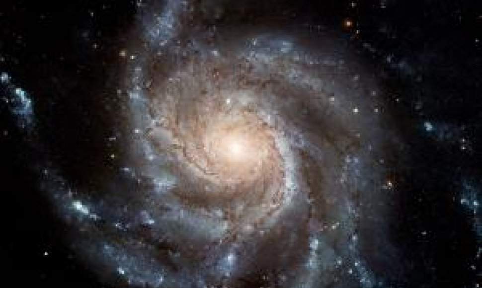 Mesjė 101 galaktika