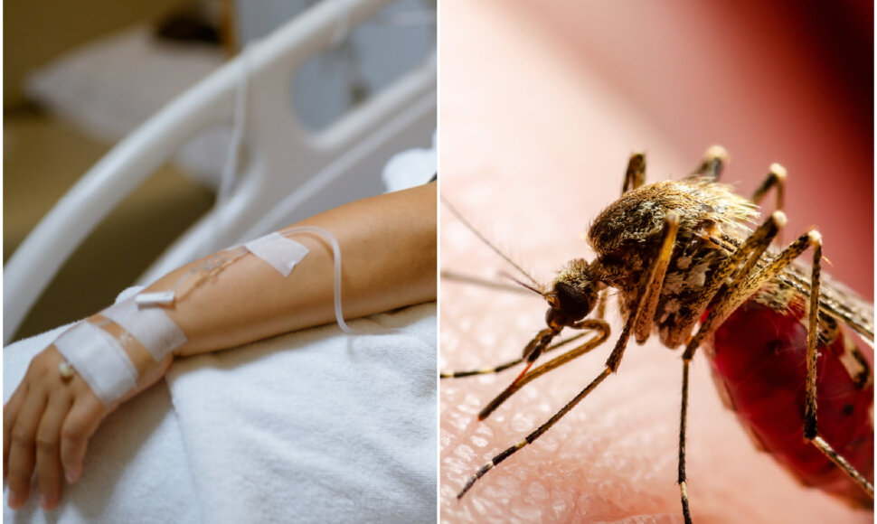 Egzotikos kaina: kaip i&scaron;vengti sunkių ligų kelionėse į tolimus kra&scaron;tus?