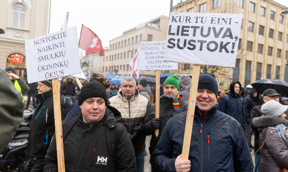 Vilniuje prasidėjo žemdirbių mitingas